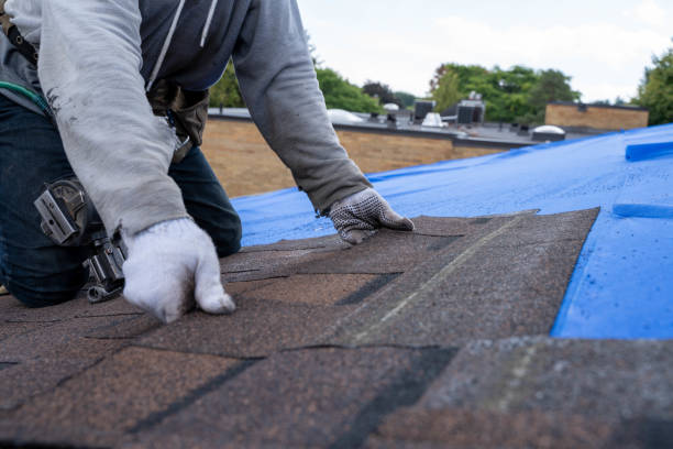 Best Shingle Roofing Installation  in Saline, MI