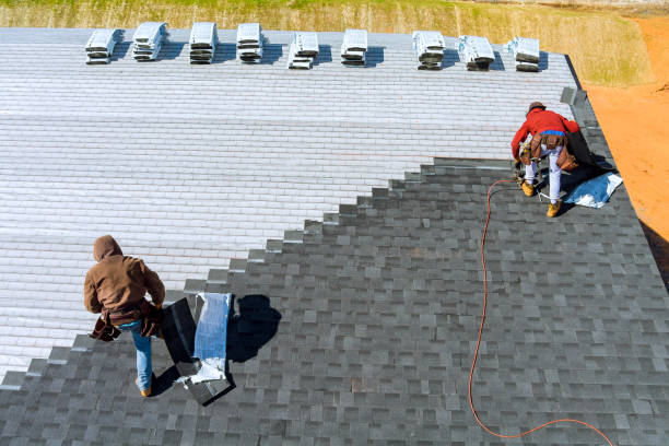 Best Roof Gutter Cleaning  in Saline, MI